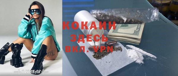 сатива Сосновый Бор
