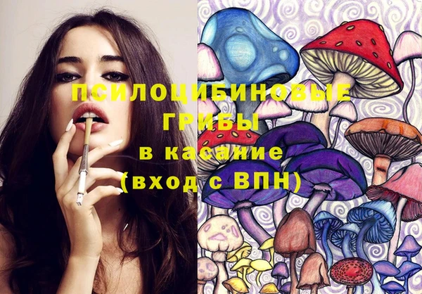 дурь Сосновка