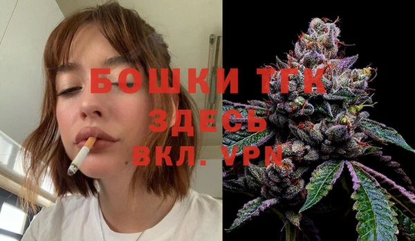гидра Алексин