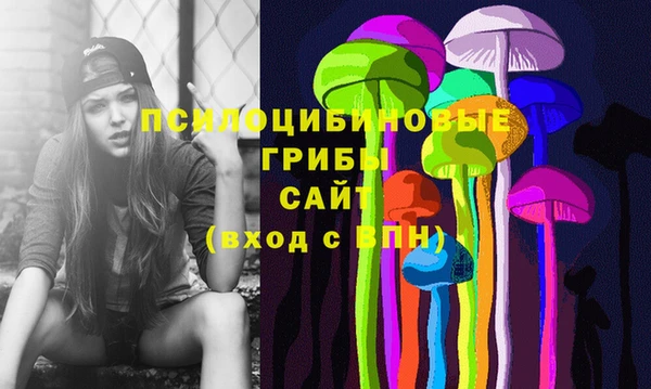 гидра Алексин