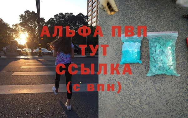 гидра Алексин