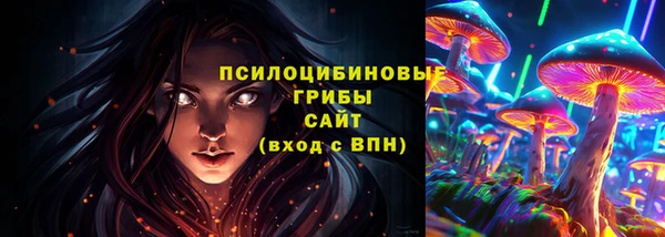 гидра Алексин