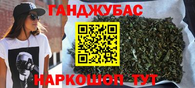 гашик Тайшет