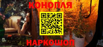 гашик Тайшет