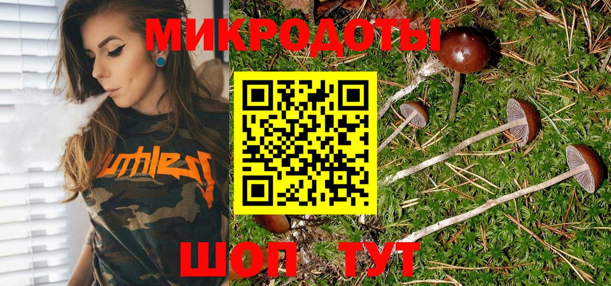 Галлюциногенные грибы Psilocybe Балабаново